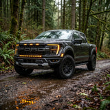 2024 Ford F150 Raptor with light bar driving on forest road, showcasing Ford F150 Raptor Light Bar features.