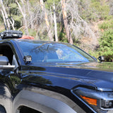 4Runner Ditch lights dual color installed on 2025 Toyota 4Runner SUV parked outdoors in daylight forest setting