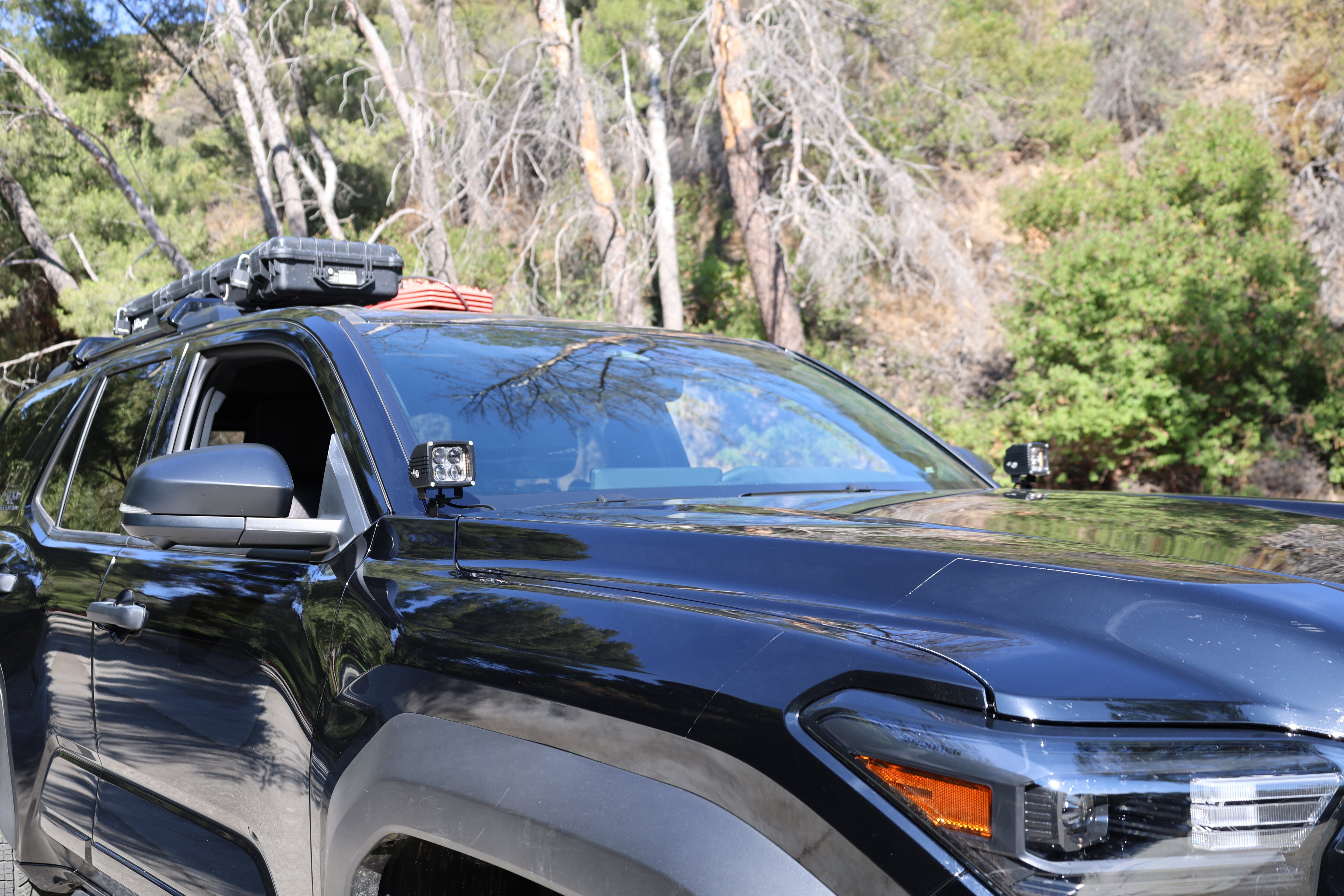 4Runner Ditch lights dual color installed on 2025 Toyota 4Runner SUV parked outdoors in daylight forest setting