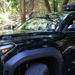 4Runner Ditch lights on 2025 Toyota 4Runner PRO with dual color amber DRL installed on black SUV in forest setting