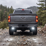 2021+ Ford F150 Reverse Light Kit