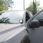 gray ford raptor generation 2 with 40watt ditch light